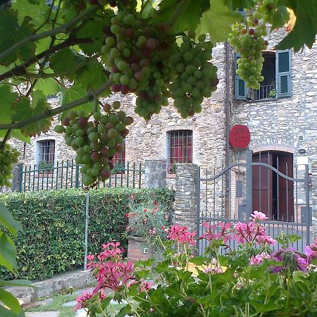 Agriturismo A Veggia Vigna Villa Garlenda Exteriör bild