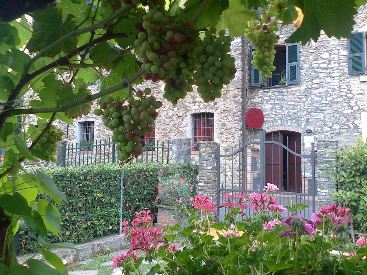 Agriturismo A Veggia Vigna Villa Garlenda Exteriör bild